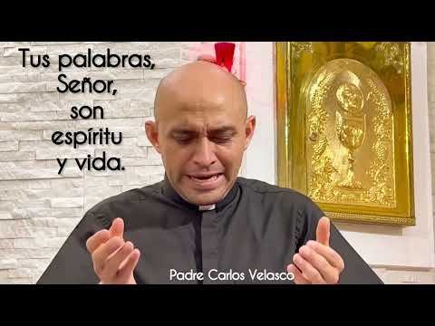 Salmo Responsorial. Lunes, 19 de Febrero de 2024.  R. Tus palabras, Señor, son espíritu y vida.