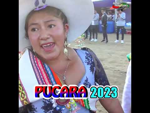 Tinku en PUCARA (Cochabamba) 2023 - Qhonqota.#shorts