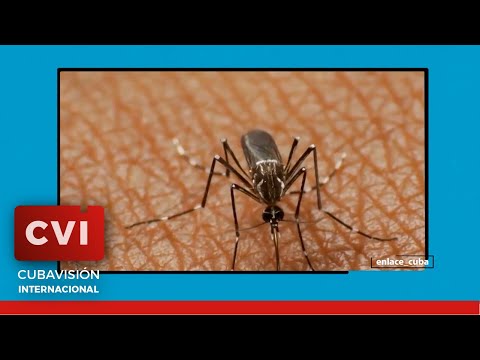 Cuba - Dengue en Cuba
