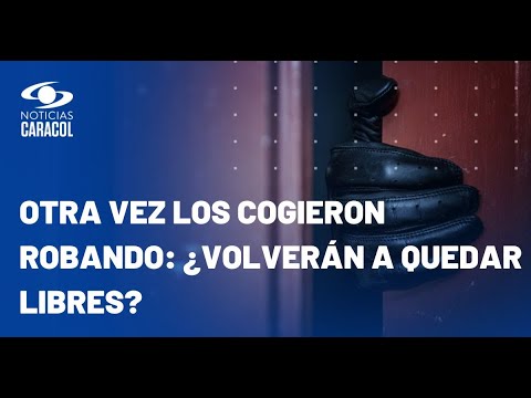 Banda de apartamenteros que volvió a robar daba somníferos a perros guardianes