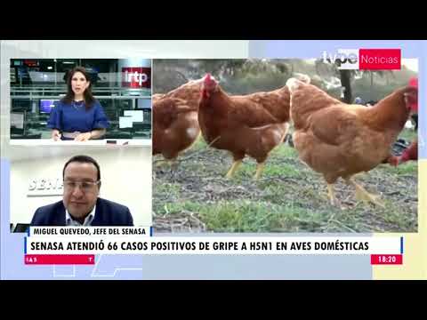 Noticias Tarde | Miguel Quevedo, jefe del Senasa - 20/02/2023