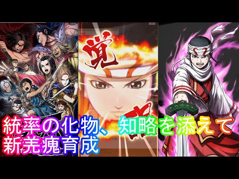 【キングダム頂天】新羌瘣育成