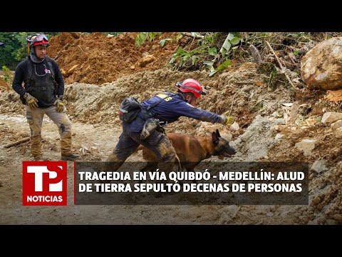 Tragedia en vía Quibdó - Medellín: alud de tierra sepultó decenas de personas I13.01.2024 TPNoticias