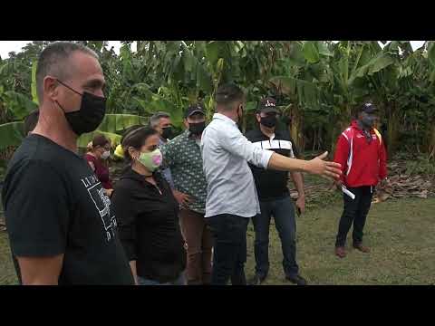 Chequean producción de alimentos en Guáimaro