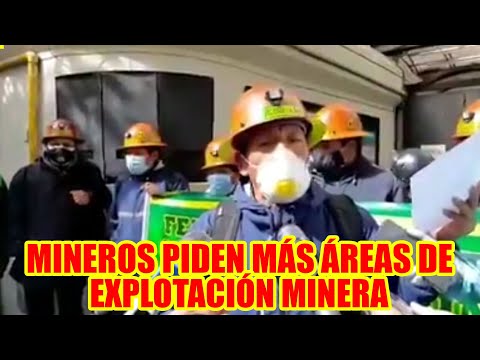 MINEROS PIDEN MÁS ÁREAS DE EXPLOTACIÓN MINERA AL GOBIERNO..