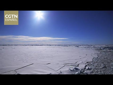 Rompehielos Xuelong 2 llega a la estación del mar de Ross en la Antártida