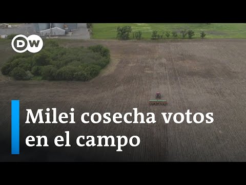 Muchos agricultores argentinos apuestan por Javier Milei