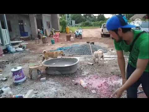 ปูกระเบื้องและติดสุขภัณฑ์ห้องน ปูกระเบื้องและติดสุขภัณฑ์ห้องน