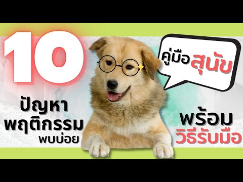 [คู่มือสุนัข]10ปัญหาพฤติกรรม