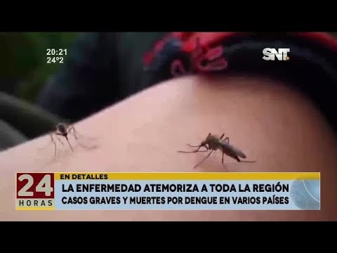 El dengue se extiende rápidamente por varios países de Latinoamérica