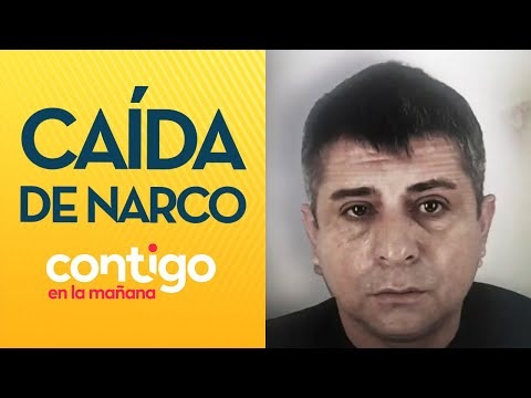 EL HORMIGA: La caída del narco más importante de Santiago - Contigo en la Mañana