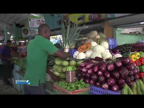 Sueldos mínimos de la república dominicana no cubren la canasta básica | Echando El Pulso