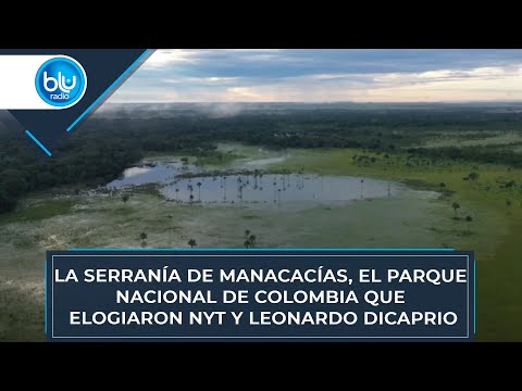 La Serranía de Manacacías, el parque nacional de Colombia que elogiaron NYT y Leonardo DiCaprio