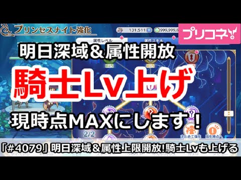 【プリコネ】明日深域＆属性開放なので、騎士Lvを現時点MAXに上げ！(マスター以外)【プリンセスコネクト！】