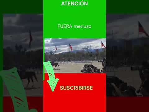 #FUERA #merluzo #FUERA #merluzo #shorts #short #trending #youtubeshorts #shortvideo