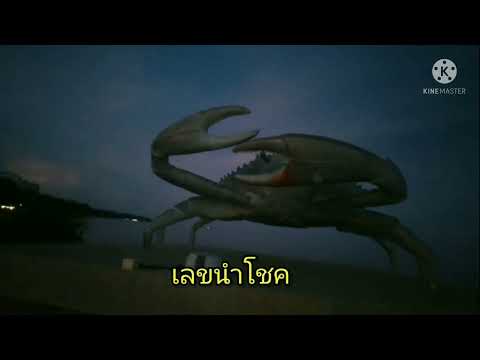 ฝันเห็นปู|ฝันเห็นปูนา|ฝันเ