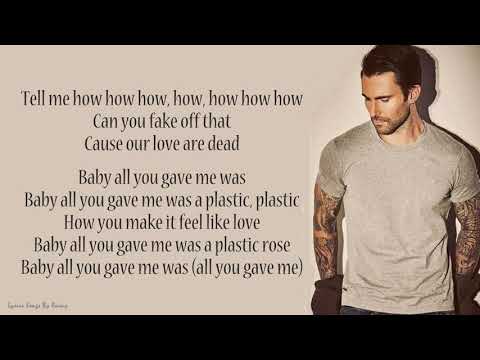 Maroon 5 - Plastic Rose | Lyrics Songs