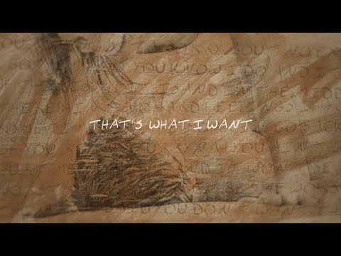 Morgan Wallen - What I Want (feat. Tate McRae) (Lyric Video)