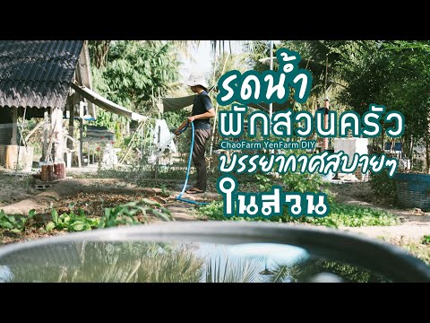 รดน้ำผัก🥬💦รดน้ำต้นไม้🌱บรรยากาศ รดน้ำผัก🥬💦รดน้ำต้นไม้🌱บรรยากาศ