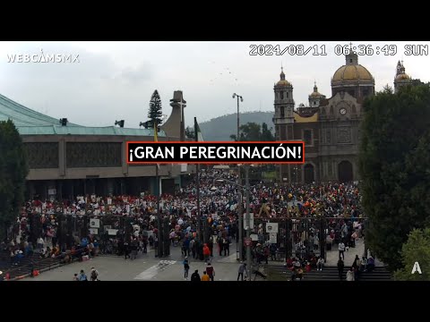 ? #CDMX | Gran peregrinación llena el atrio. La Basílica #EnVivo