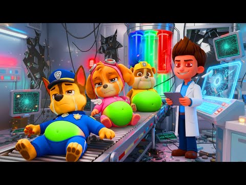 CHASE, SKYE, and RUBBLE have a big secret! What happened? | Paw Patrol Ultimate Rescue | Rainbow 3