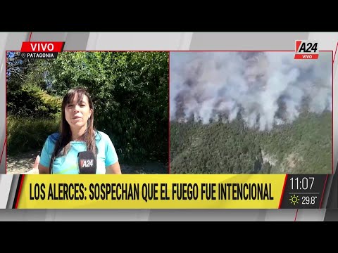 Fuego fuera de control en Los Alerces: ya son 2 mil hectáreas quemadas de bosque nativo