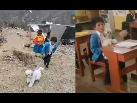 Huánuco: Niño camina desde su casa hasta el colegio siempre acompañado de su perrita