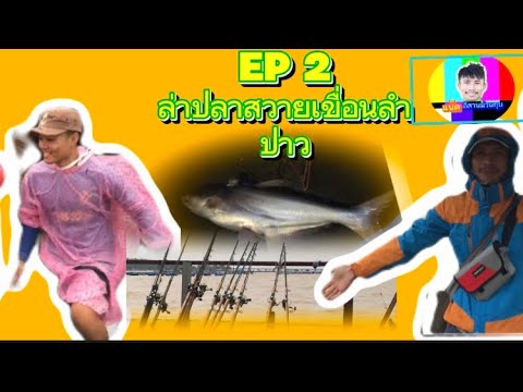 EP2หาปลาสวายเขื่อนลำปาวกาฬ