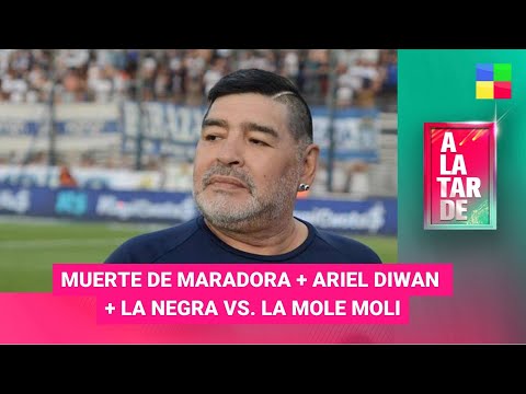 Muerte Maradona + Ariel Diwan + La Mole Moli #ALaTarde | Programa completo (08/05/2024)