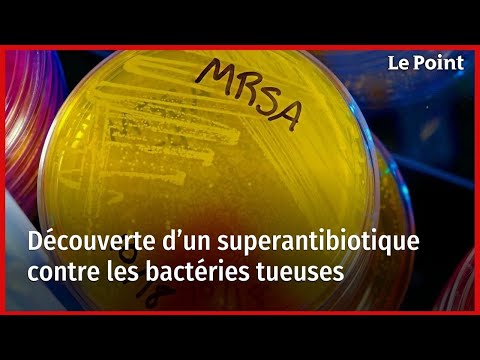 Découverte d’un superantibiotique contre les bactéries tueuses