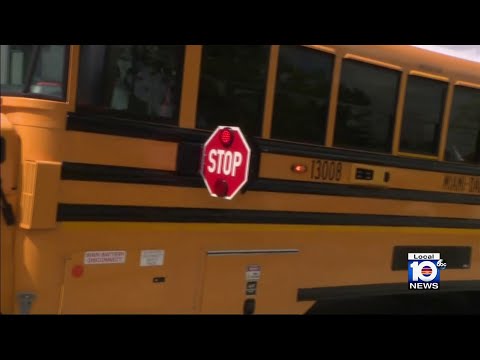 Miami-Dade launching school bus safety initiative that will fine violators $200