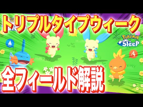 やるべきこと、確認しとこ！来週どこ行く？トリプルタイプウィーク！【ポケモンスリープ】