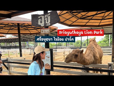 ศรีอยุธยาไลอ้อนปาร์ค|Sriay