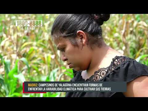 Campesinos con alternativas ante la variabilidad climática en Yalagüina -Nicaragua
