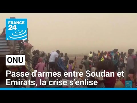 ONU : passe d'armes entre Soudan et Emirats, la crise s'enlise • FRANCE 24