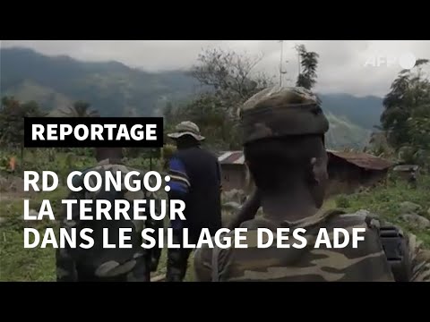 Dans l'enfer des ADF: un drapeau jihadiste dans la forêt congolaise | AFP