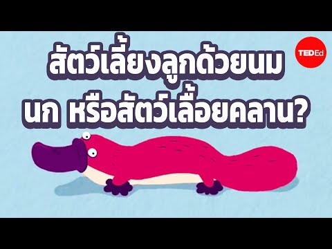 หนึ่งปีในชีวิตของสัตว์ที่แปลกป