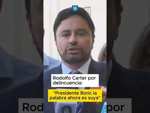 Rodolfo Carter por delincuencia: Presidente Boric, la palabra ahora es suya