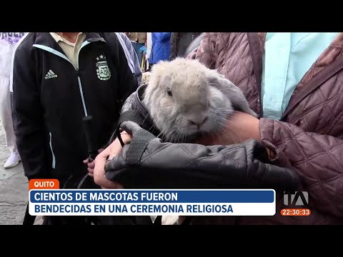 Cientos de mascotas fueron bendecidas en ceremonia en Quito