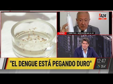 ALERTA  El DENGUE está pegando duro - Hugo Pizzi