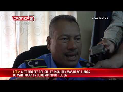 Policía Nacional incauta más de 90 libras de marihuana en León – Nicaragua