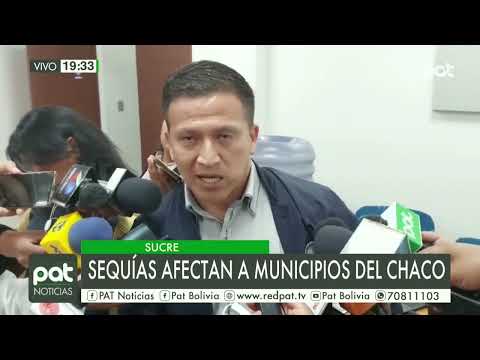 Sequias afectan a municipios del Chaco en Sucre