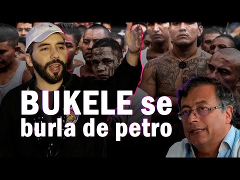 BUKELE humilla a PETRO | Nadie respeta a Petro en Colombia ni en el mundo, lo ven como payaso