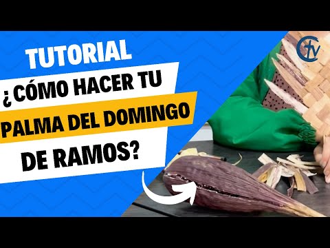 ¿Cómo hacer una palma de Domingo de Ramos? - Tutorial