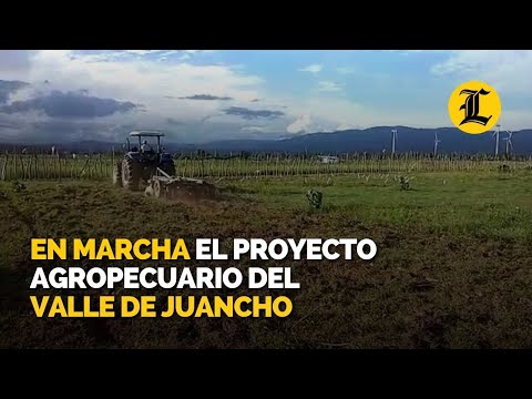 En marcha el proyecto agropecuario del Valle de Juancho
