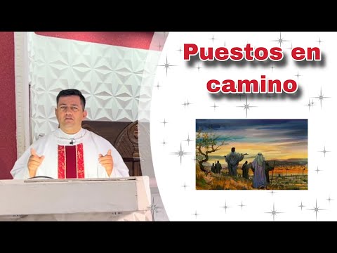 MISA DE HOY Martes 01 de Octubre  de 2024- Padre Ricardo Prato