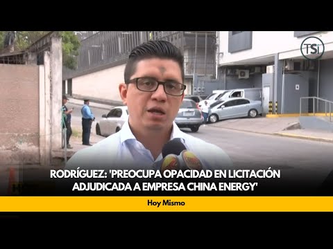 Rodríguez: 'preocupa opacidad en licitación adjudicada a empresa china Energy'