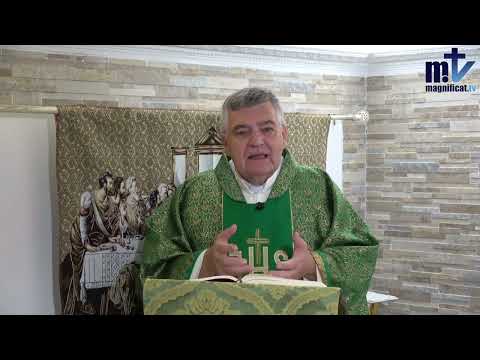 ¿Habré decepcionado a Jesús? | Domingo, XXV Sem. del T.O. 22-09-24| P. Santiago Martín FM