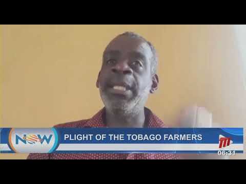 Plight of the Tobago Farmers