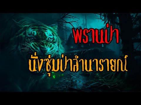 พรานป่าlนั่งซุ่มป่าลำนารายณ์